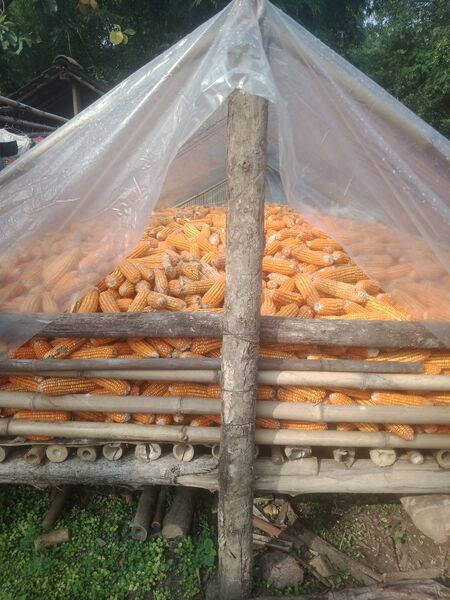 File:Pranggokan dan Grobog.jpg