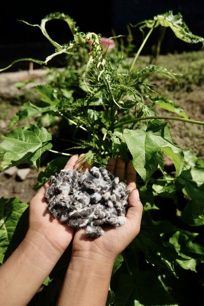 File:Juniartini Yunita 6.jpg