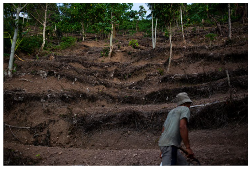 File:Screen Shot 2025-01-07 at 15.49.14.png