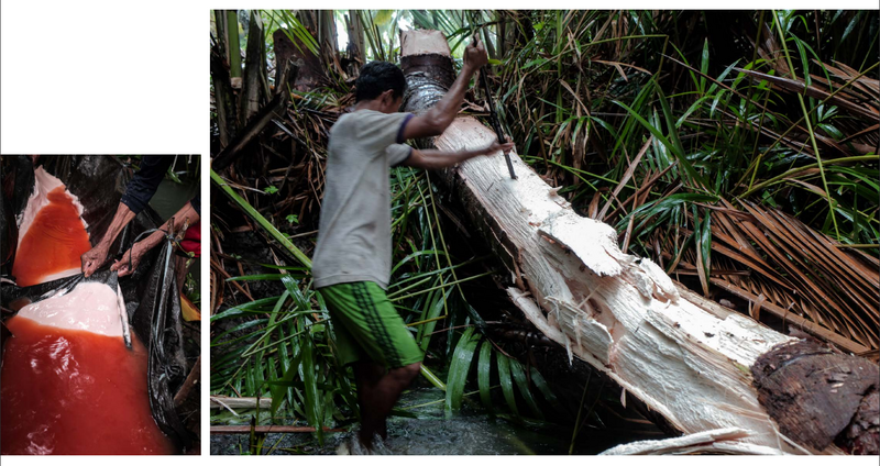 File:Screenshot 2025-01-07 131801.png