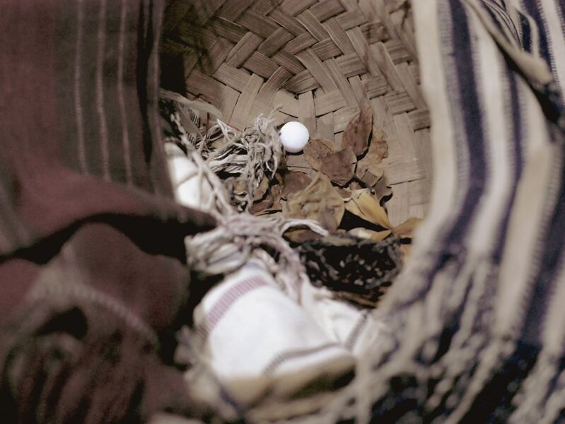 File:Adi Bayu Utomo 4.jpg