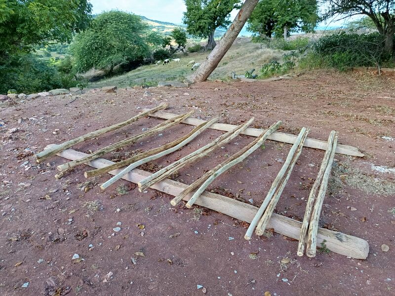 File:Kayu Lompat Allu.jpg