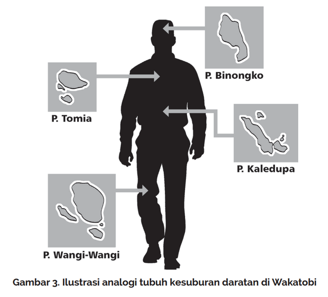 File:Anatomi tubuh manusia di wakatobi.png