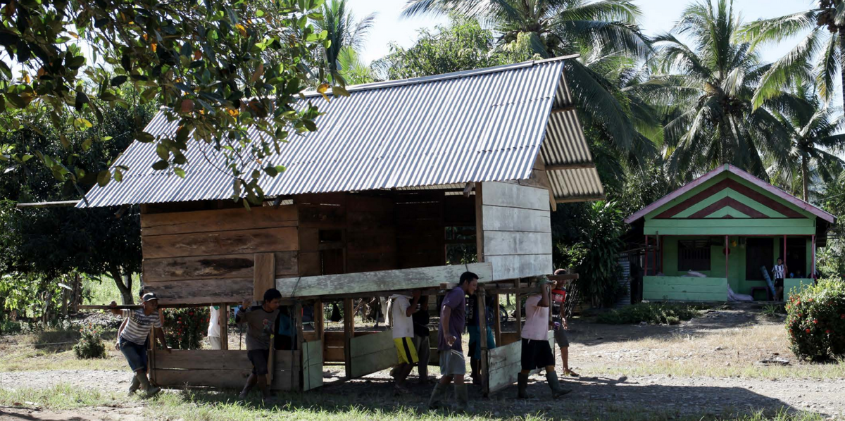 Mominda Bele - Akal Lokal