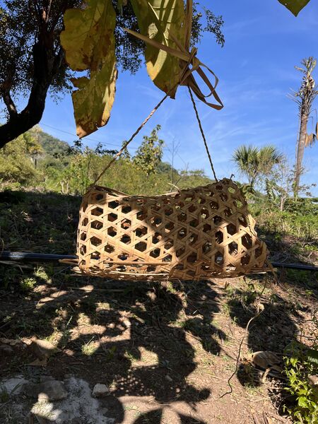 File:Kolak dan timor.jpg