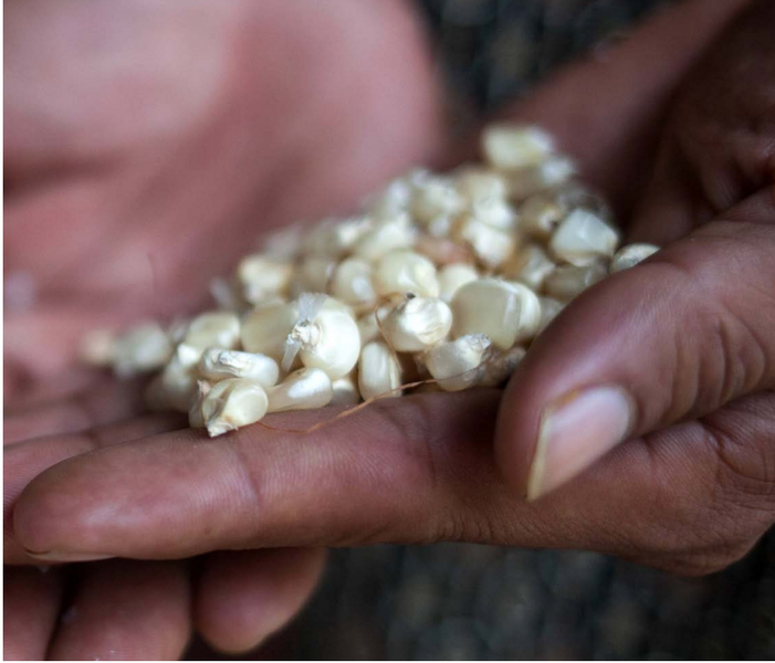 File:Screenshot (978).png