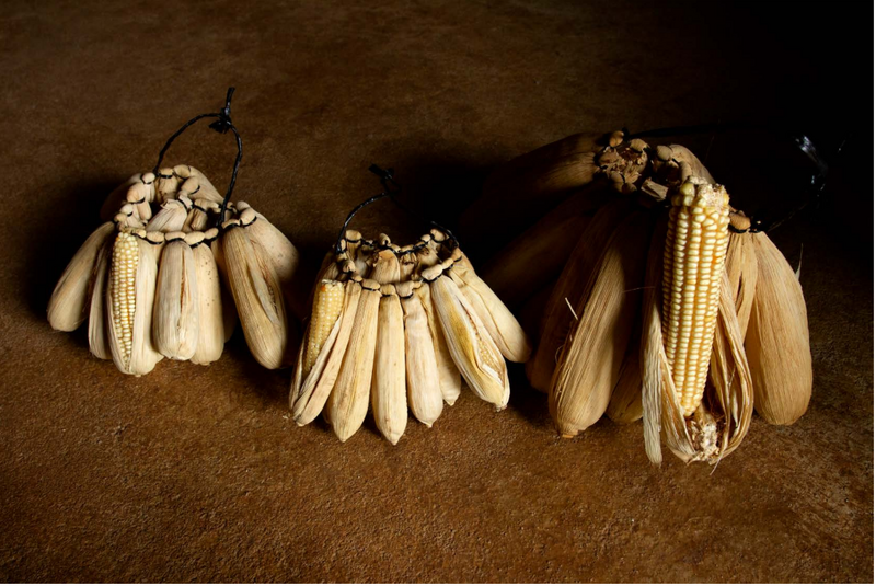 File:Jagung Semau 1.png