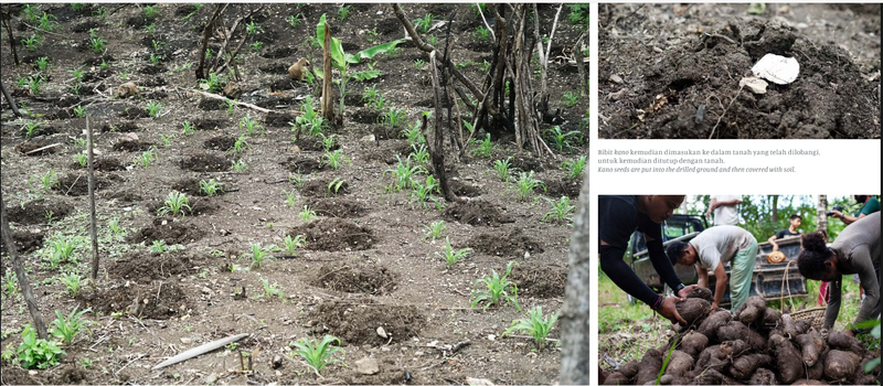 File:Screenshot (964).png