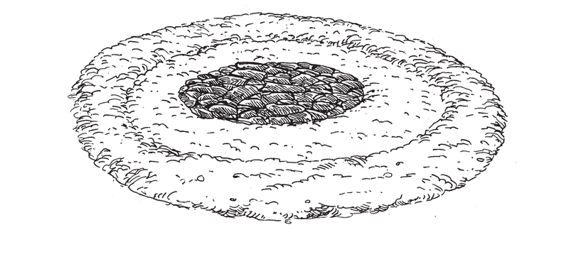 File:Utan Bangat.png