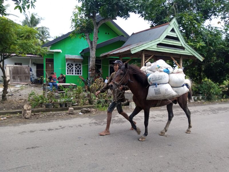 File:Ma'teke Pare 2.jpg