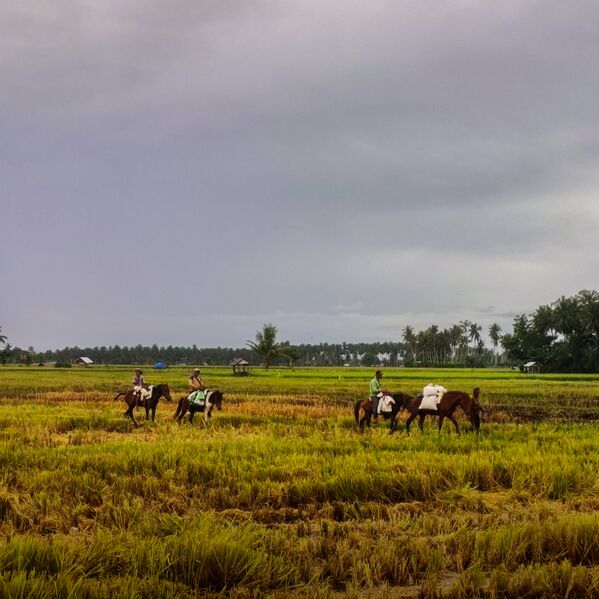 File:Ma'teke Pare.jpg